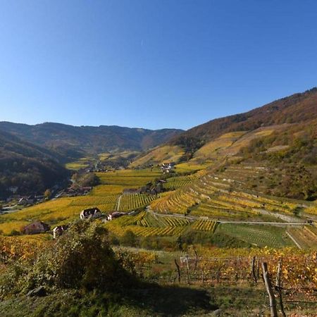 Gut am Steg Weingut Piewald 아파트 외부 사진