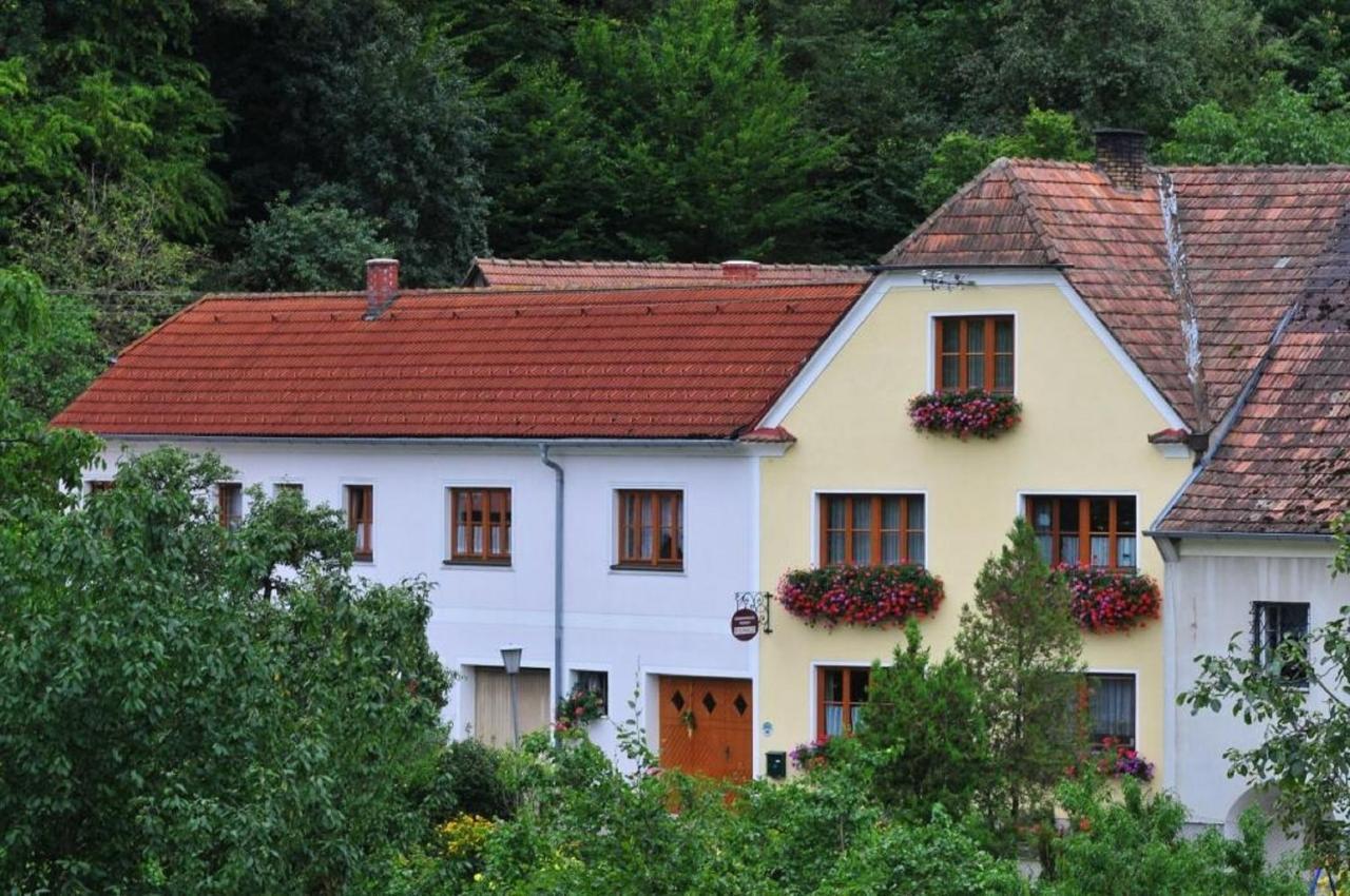 Gut am Steg Weingut Piewald 아파트 외부 사진