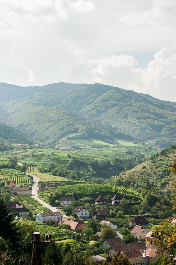 Gut am Steg Weingut Piewald 아파트 외부 사진
