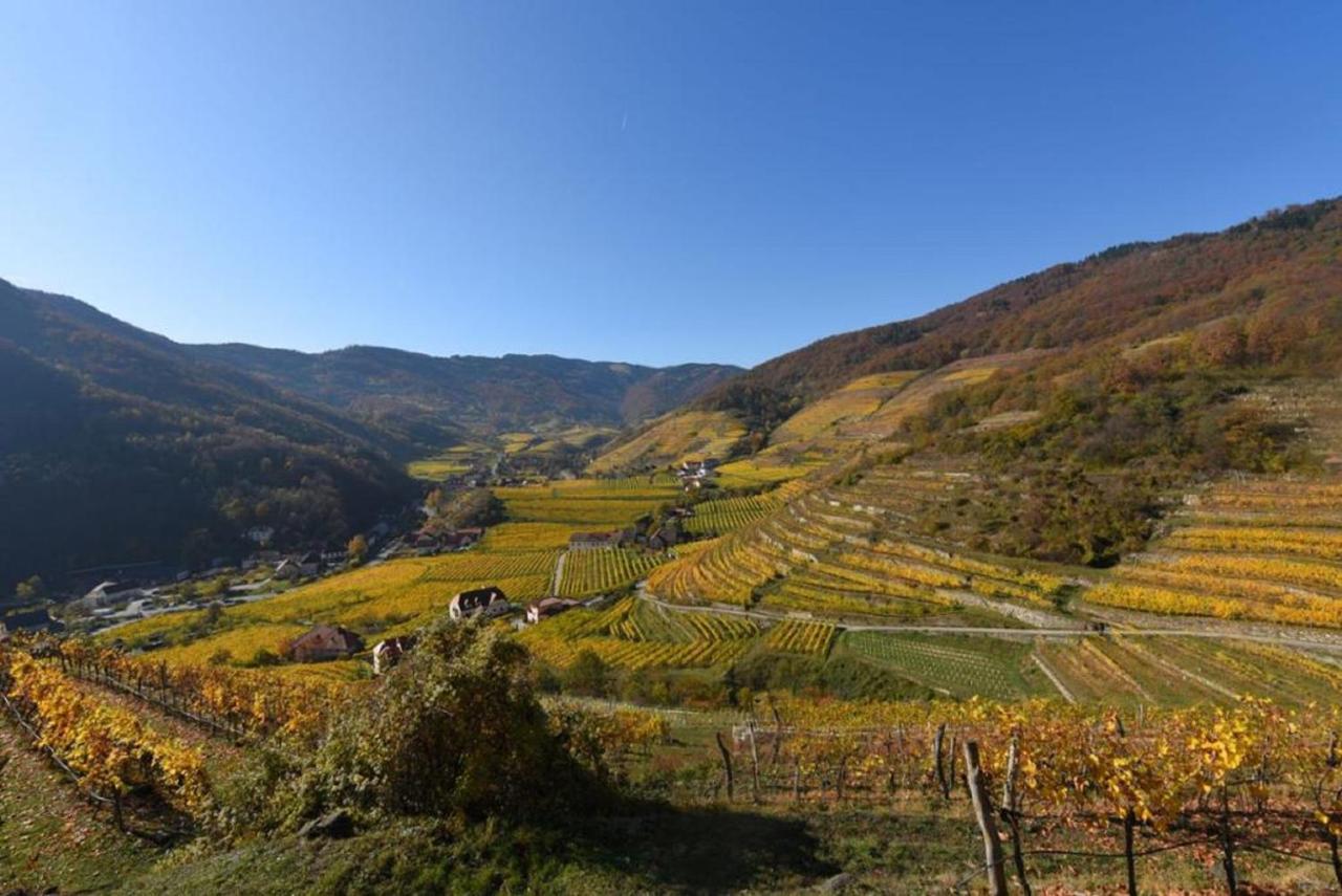 Gut am Steg Weingut Piewald 아파트 외부 사진